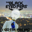Black Eyed Peas - I Gotta Feeling